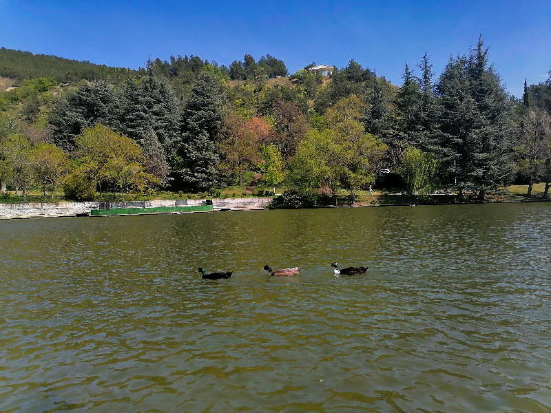 park-Sveti-Vrač Putovanje Sandanski Bugarska
