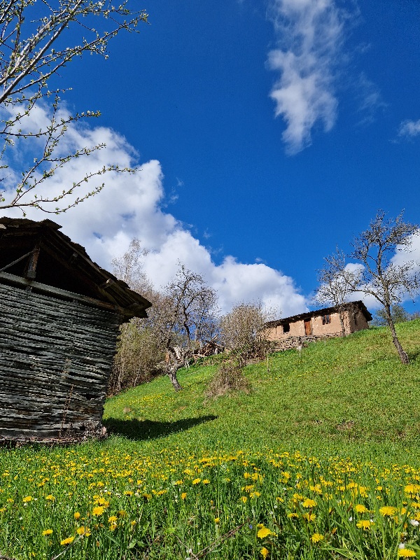 Dojkinci-Stara planina stara planina-vidikovci-kozji kamen-tumba-vodopad tupavica-sta videti-dojkinci-kuhinja-smestaj