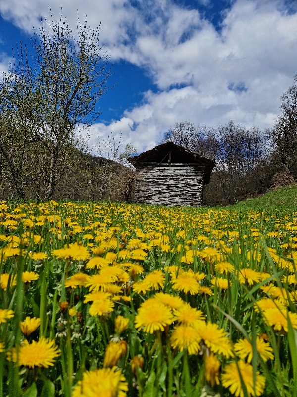 Stara planina-vidikovci, vodopadi i sela zarobljena u vremenu