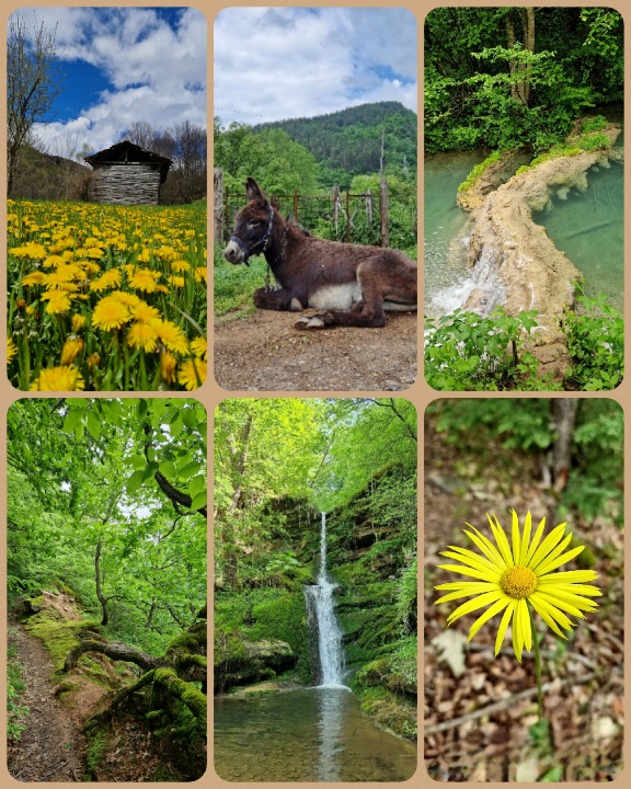 Stara-planina stara planina-vidikovci-kozji kamen-tumba-vodopad tupavica-sta videti-dojkinci-kuhinja-smestaj
