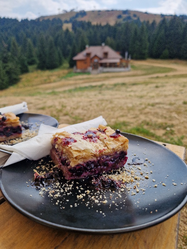 Pita s borovnicama-bar Mons Kopaonik