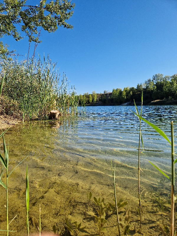 Kristalno-čista-voda-Rgotsko-jezero Rgotsko jezero