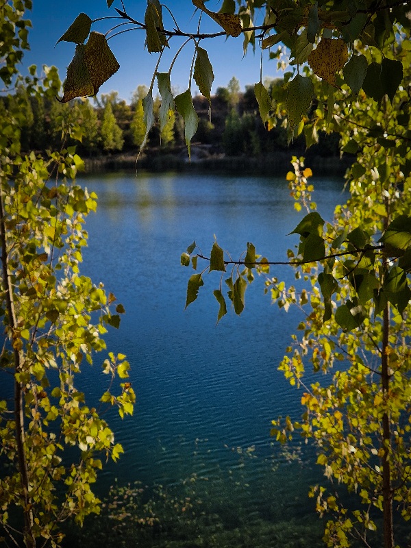 Rgotsko-jezero-pošumljene-obale Rgotsko jezero