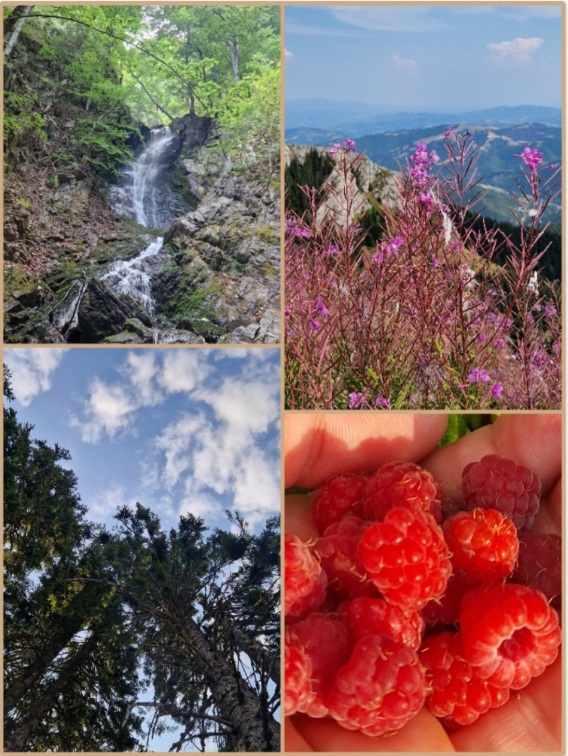 Leto na Kopaoniku Kopaonik
