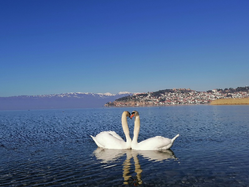 Ohridsko-jezero Jesenja putovanja predlozi