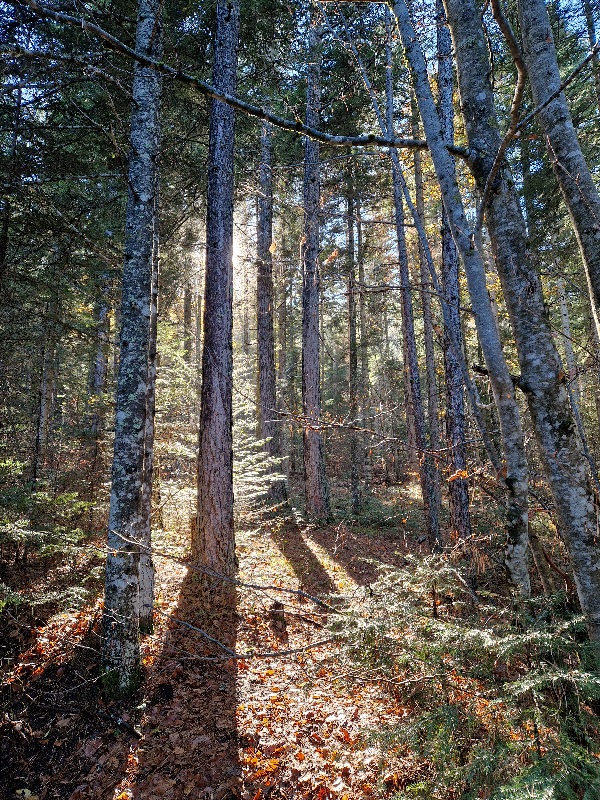 Pirin-staze-za-setnju Jesenja putovanja predlozi