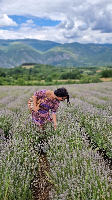Tamnjanica-plantaže-lavande