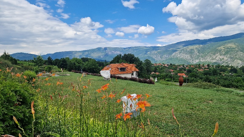 Pigmalion-eko-plantaže Nis i okolina sta videti