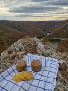 Zdravlje i putovanja