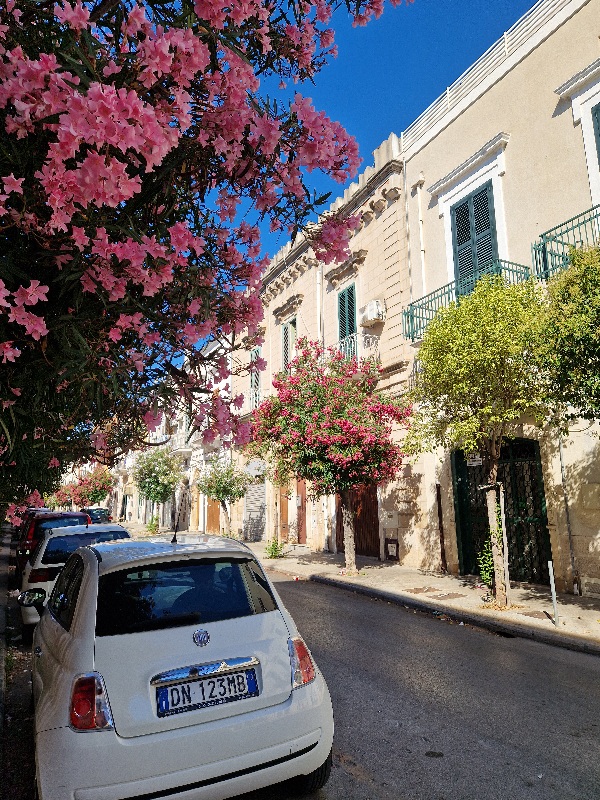 Drvoredi-lijandera-Mola-di-Bari Pulja samostalno putovanje