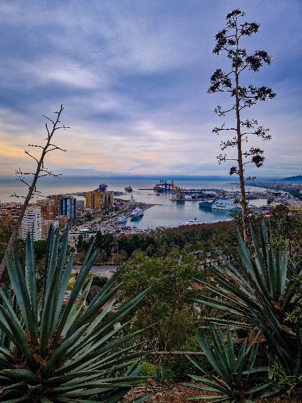 Malaga pogled na luku